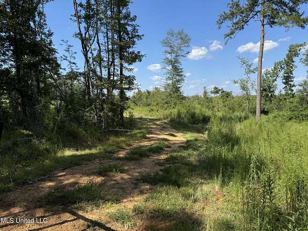 58.2 Acres of Land for Sale in Brookhaven, Mississippi