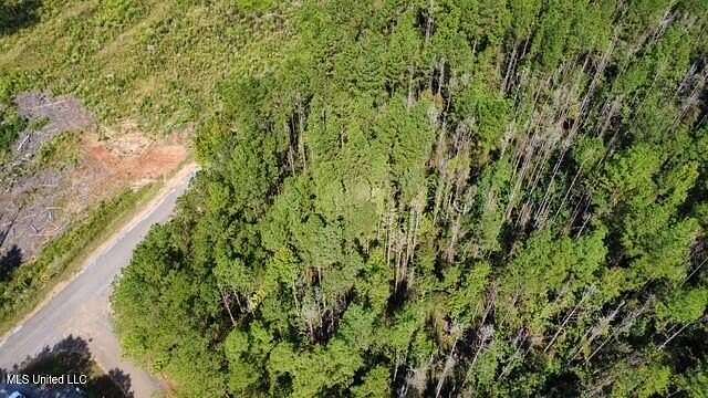 10.7 Acres of Land for Sale in Liberty, Mississippi