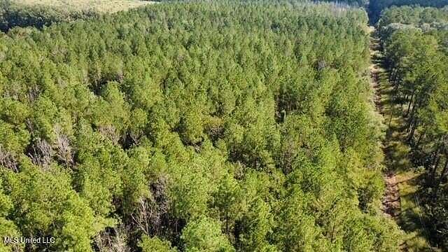 10.7 Acres of Land for Sale in Liberty, Mississippi