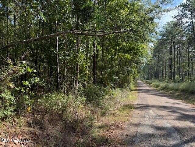 10.7 Acres of Land for Sale in Liberty, Mississippi