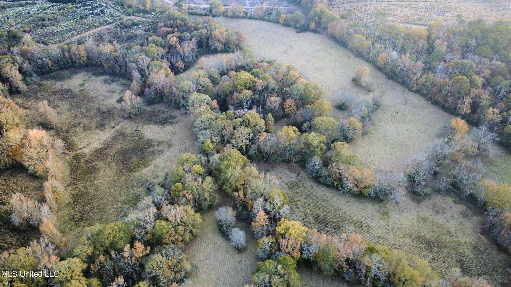 77.8 Acres of Land for Sale in Wesson, Mississippi