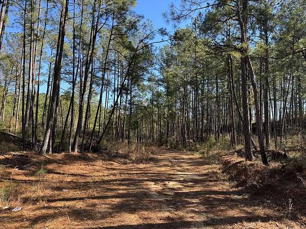 52.8 Acres of Recreational Land for Sale in Magnolia, Mississippi