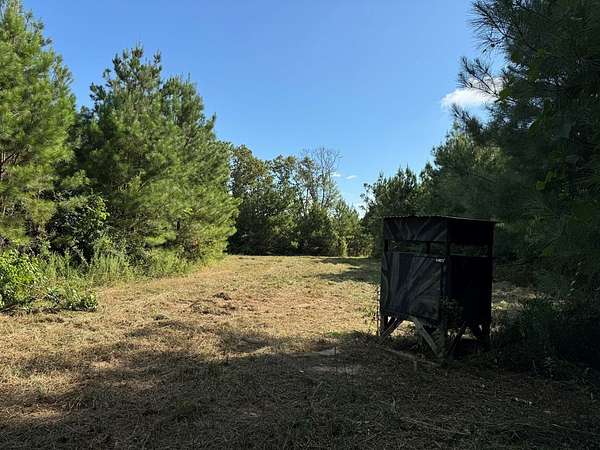 104 Acres of Recreational Land for Sale in Bogue Chitto, Mississippi