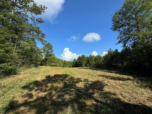 65 Acres of Recreational Land for Sale in Bogue Chitto, Mississippi