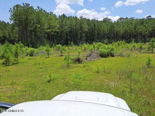 5.7 Acres of Land for Sale in Mendenhall, Mississippi