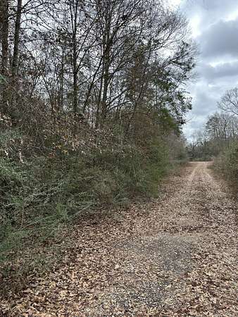 0.83 Acres of Residential Land for Sale in Lumberton, Mississippi
