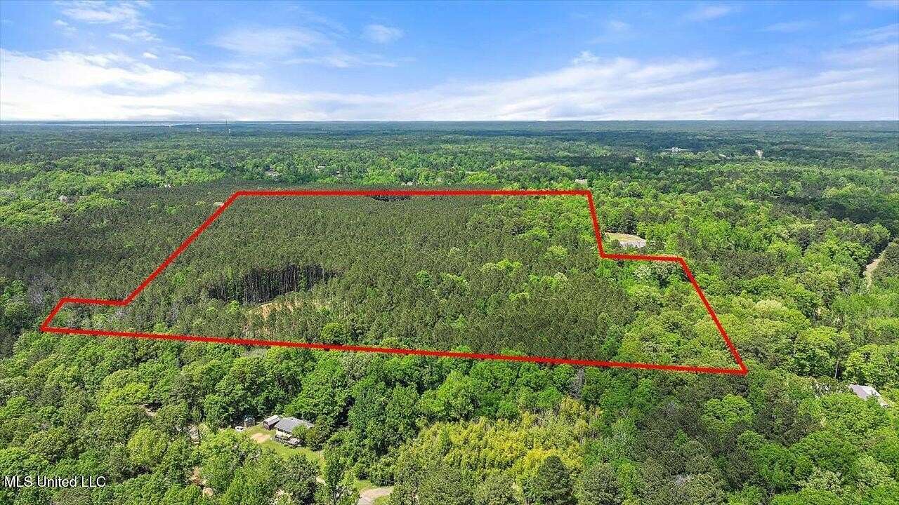 28.5 Acres of Recreational Land for Sale in Brandon, Mississippi