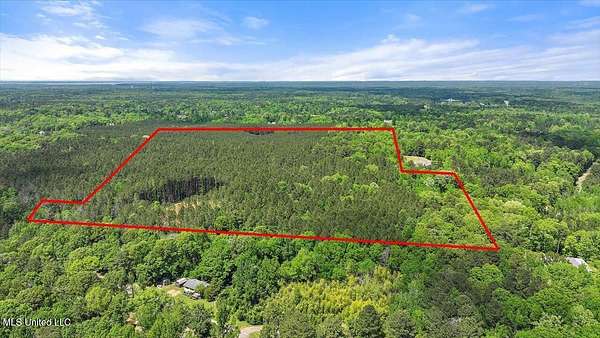28.5 Acres of Recreational Land for Sale in Brandon, Mississippi