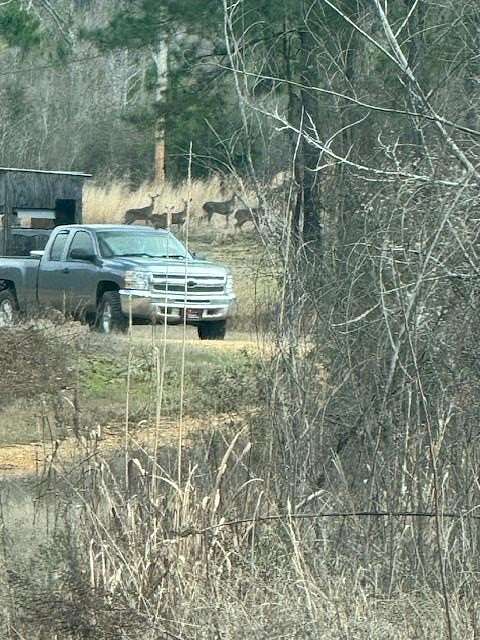 86 Acres of Recreational Land for Sale in Bogue Chitto, Mississippi