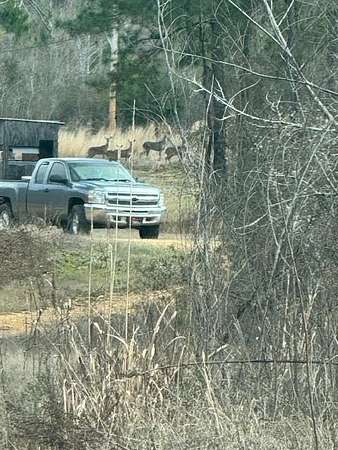 86 Acres of Recreational Land for Sale in Bogue Chitto, Mississippi