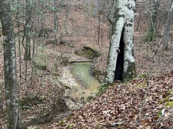 47 Acres of Recreational Land for Sale in Crosby, Mississippi