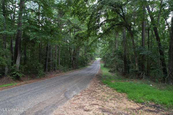 73 Acres of Recreational Land for Sale in Monticello, Mississippi