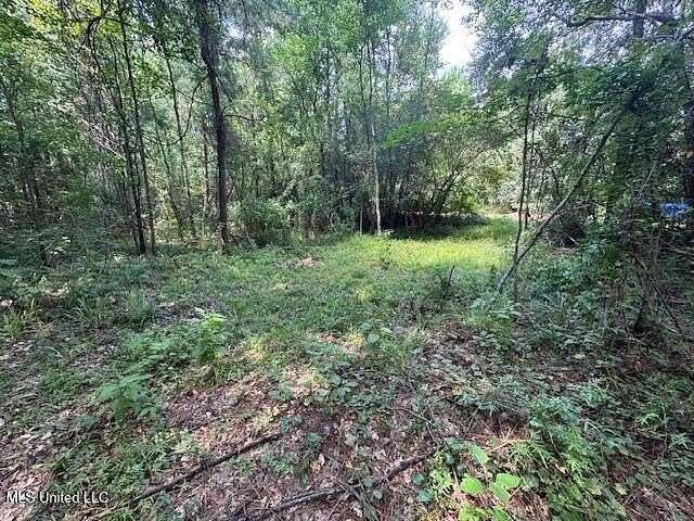 13 Acres of Recreational Land for Sale in Centreville, Mississippi