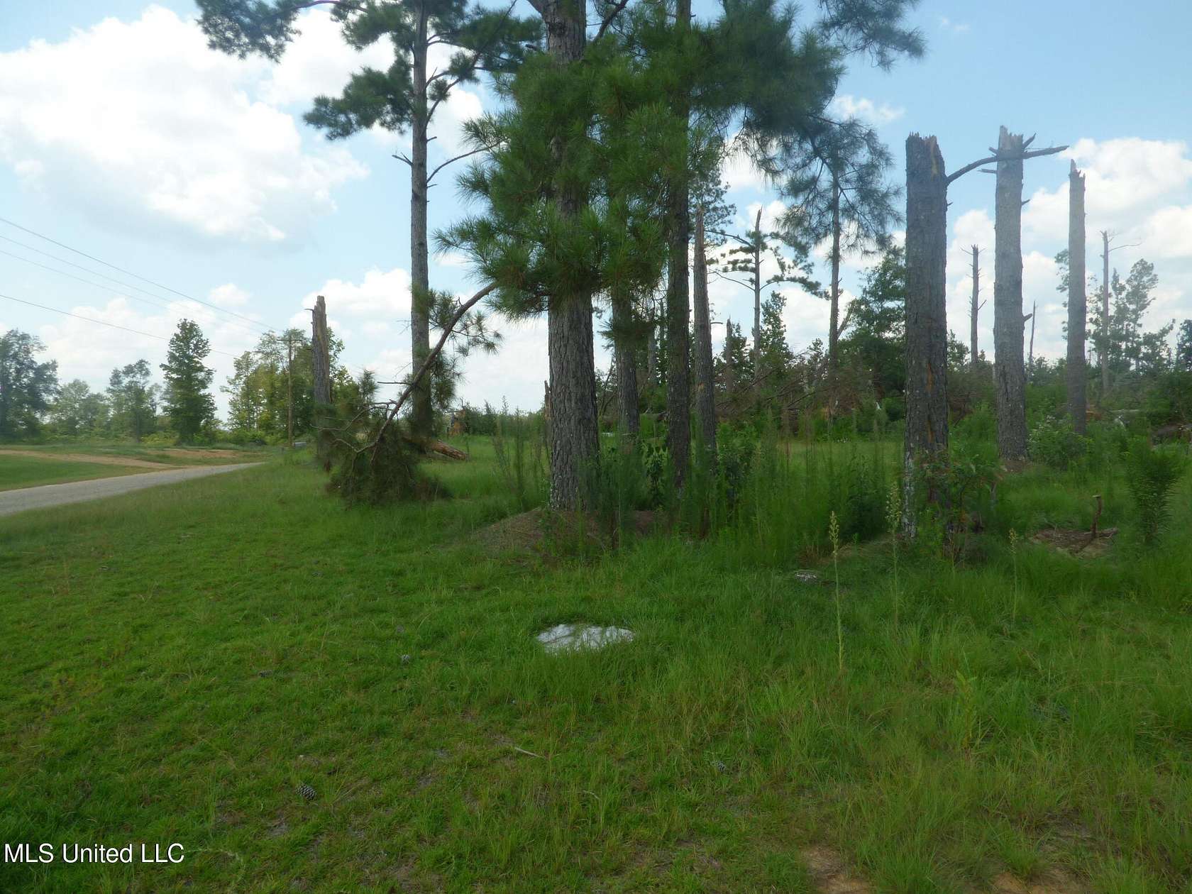 16.5 Acres of Land for Sale in Tylertown, Mississippi