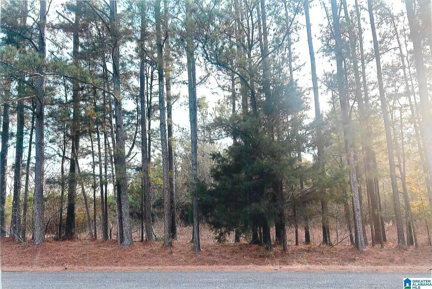 10 Acres of Land for Sale in Talladega, Alabama