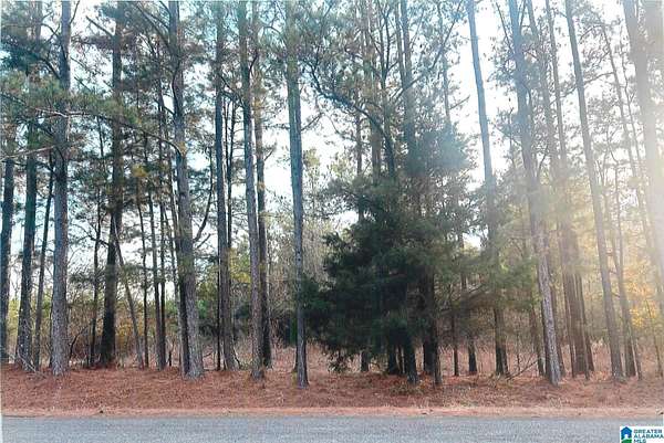 10 Acres of Land for Sale in Talladega, Alabama
