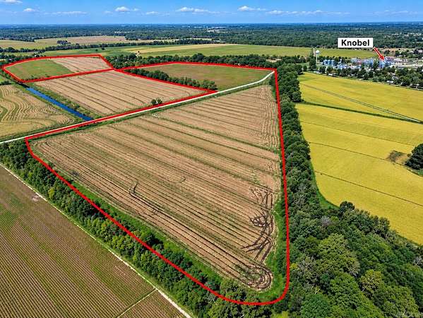 91.2 Acres of Land for Sale in Knobel, Arkansas