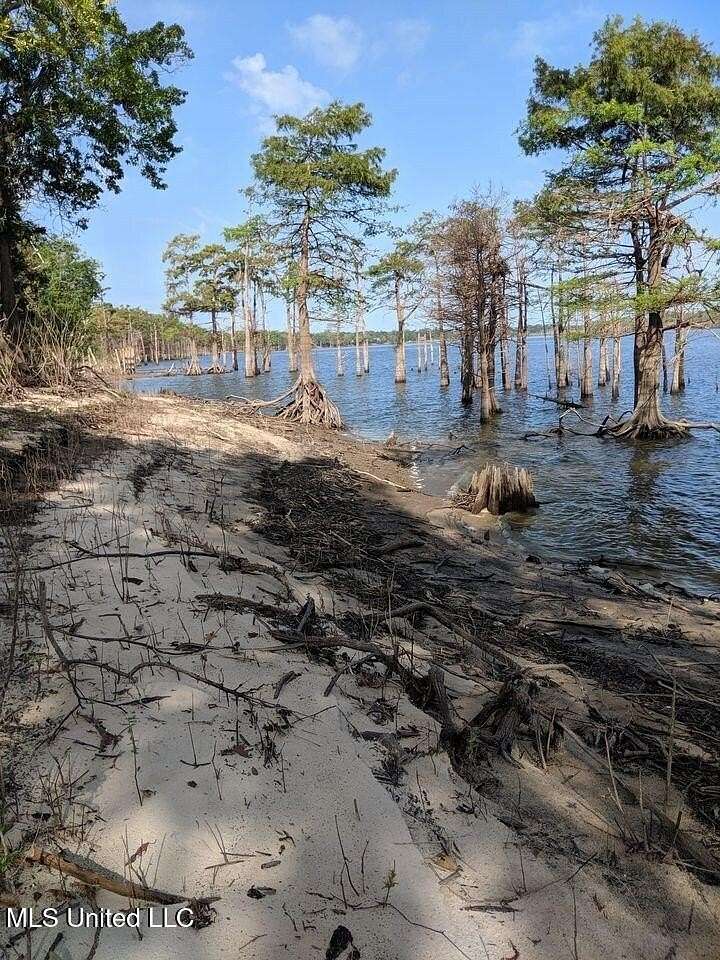 33 Acres of Land for Sale in Woodville, Mississippi