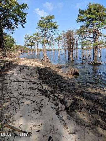 33 Acres of Land for Sale in Woodville, Mississippi