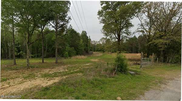 41 Acres of Recreational Land for Sale in Pickens, Mississippi