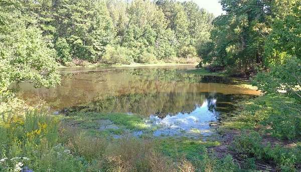 1.77 Acres of Residential Land with Home for Sale in McComb, Mississippi