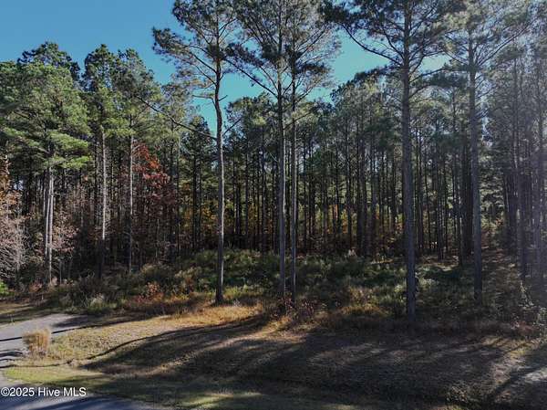 0.59 Acres of Residential Land for Sale in Edenton, North Carolina