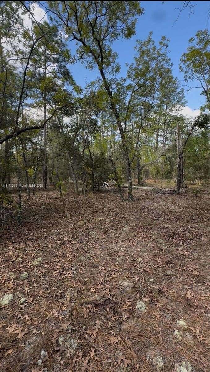 1 Acre of Residential Land for Sale in Ocala, Florida