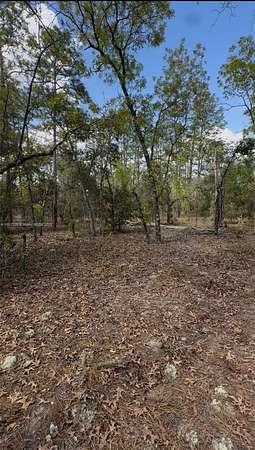 1 Acre of Residential Land for Sale in Ocala, Florida