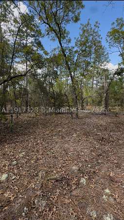 1 Acre of Residential Land for Sale in Ocala, Florida