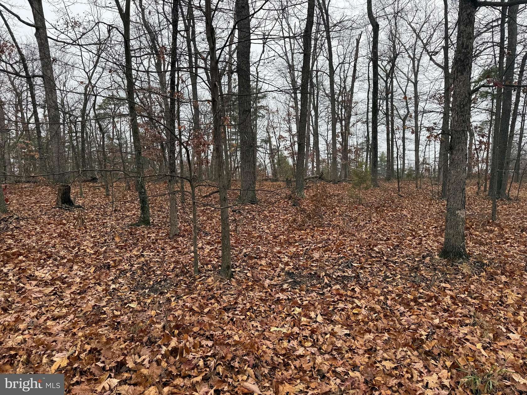 3 Acres of Residential Land for Sale in Winchester, Virginia