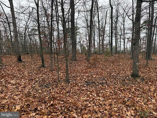 3 Acres of Residential Land for Sale in Winchester, Virginia