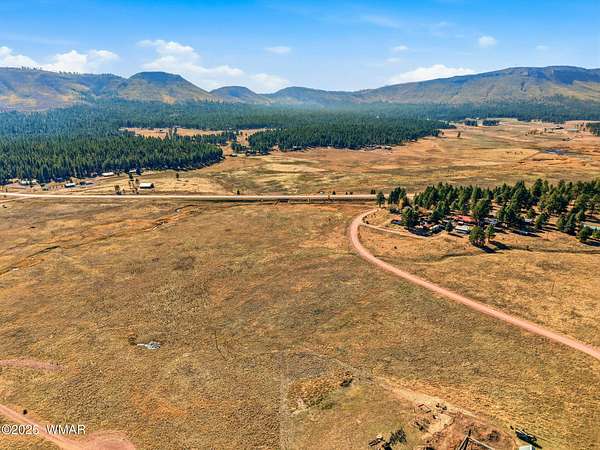 9 Acres of Land for Sale in Alpine, Arizona