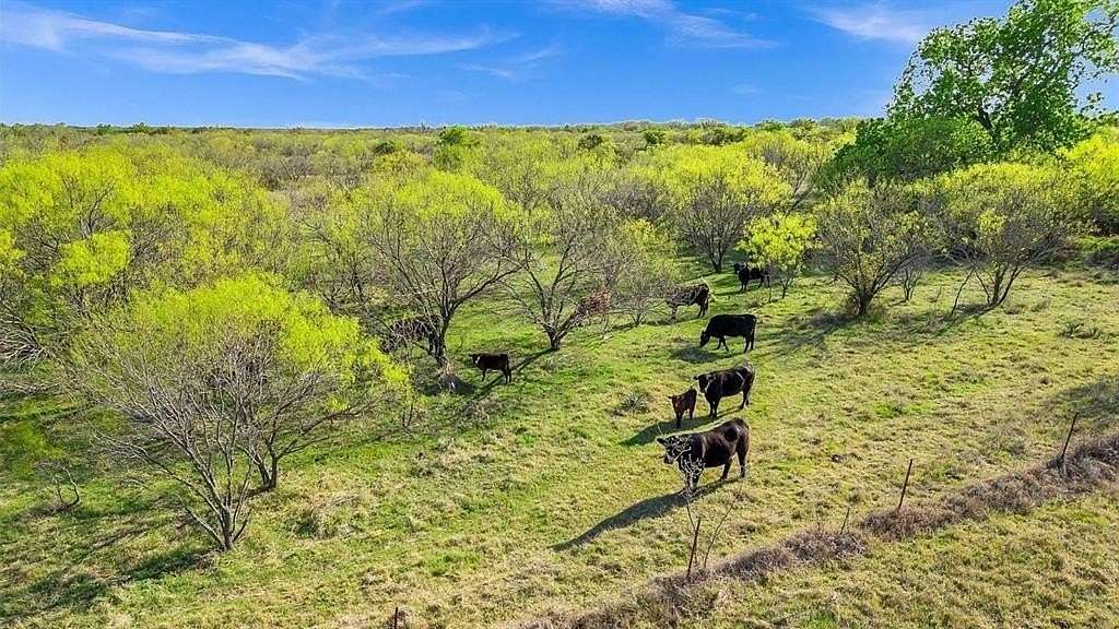 13 Acres of Land for Sale in Ranger, Texas