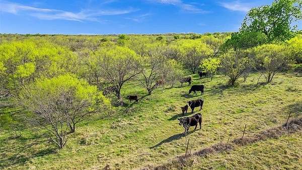 13 Acres of Land for Sale in Ranger, Texas