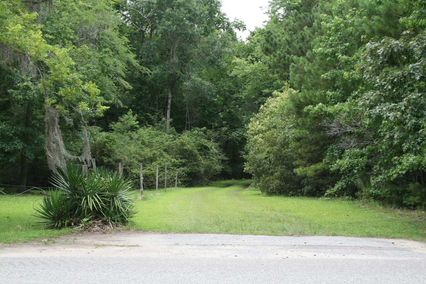 3.19 Acres of Residential Land for Sale in Moncks Corner, South Carolina