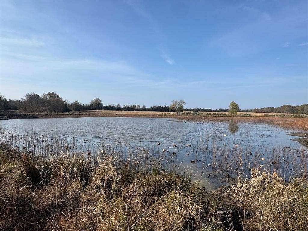 119 Acres of Recreational Land & Farm for Sale in Annona, Texas