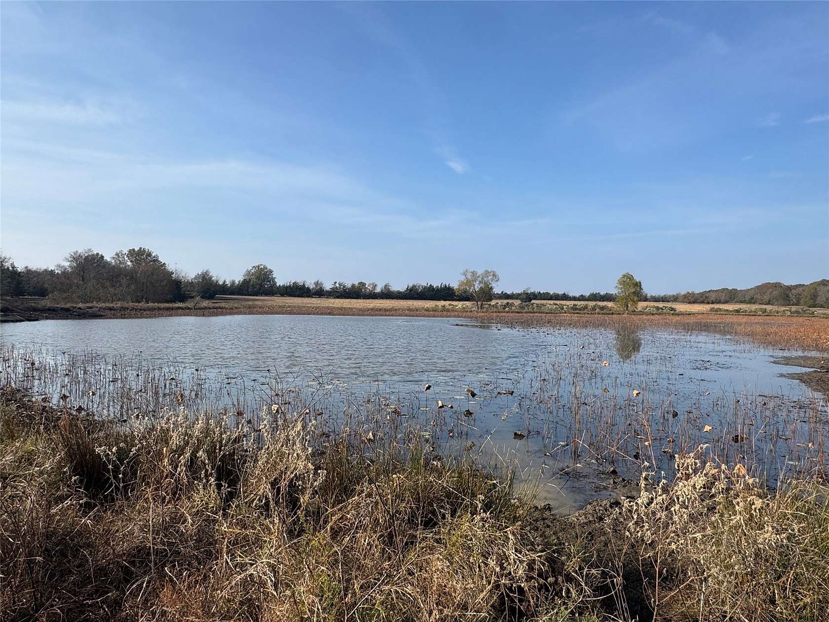 119 Acres of Land for Sale in Annona, Texas
