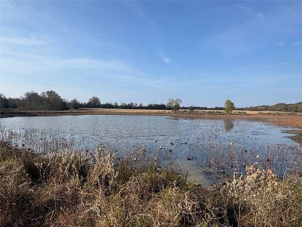119 Acres of Land for Sale in Annona, Texas