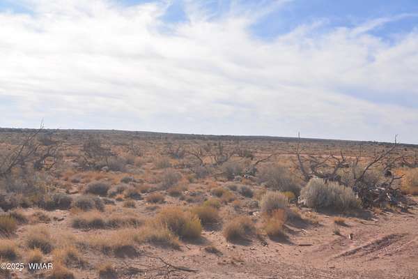 40 Acres of Land for Sale in Snowflake, Arizona
