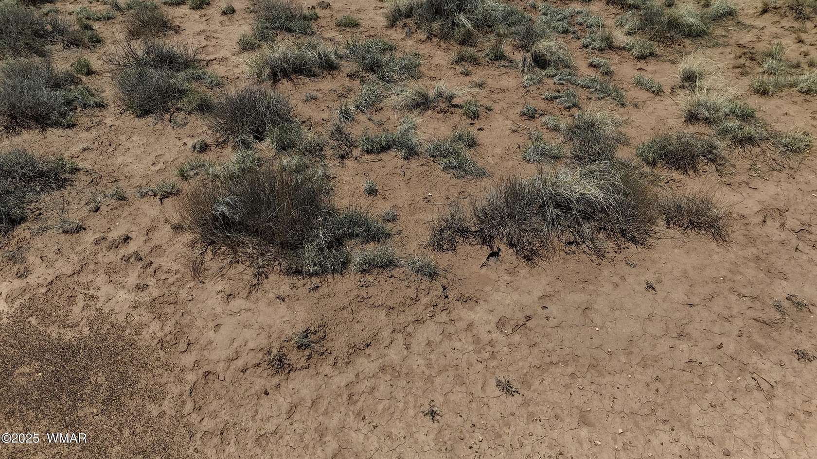 1.17 Acres of Land for Sale in Snowflake, Arizona