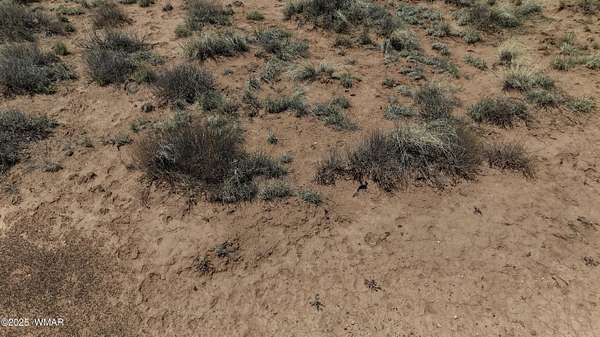 1.17 Acres of Land for Sale in Snowflake, Arizona