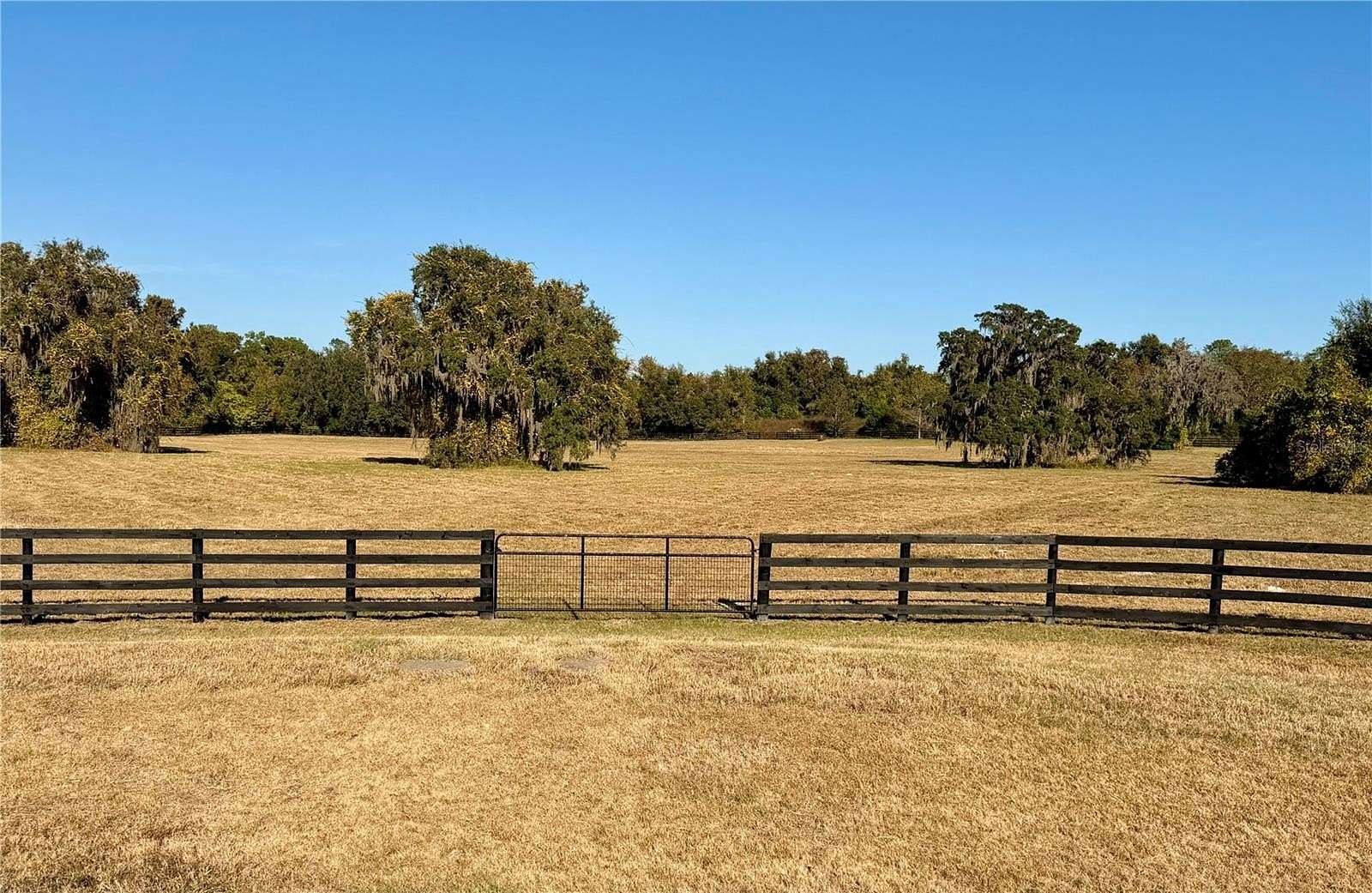 12 Acres of Land for Sale in Ocala, Florida