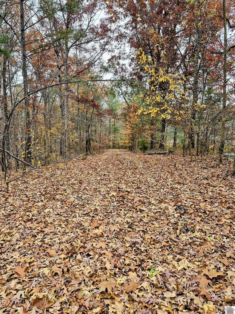 40 Acres of Land for Sale in Benton, Kentucky