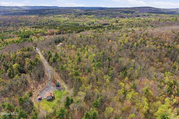 40 Acres of Recreational Land with Home for Sale in Warnerville, New York