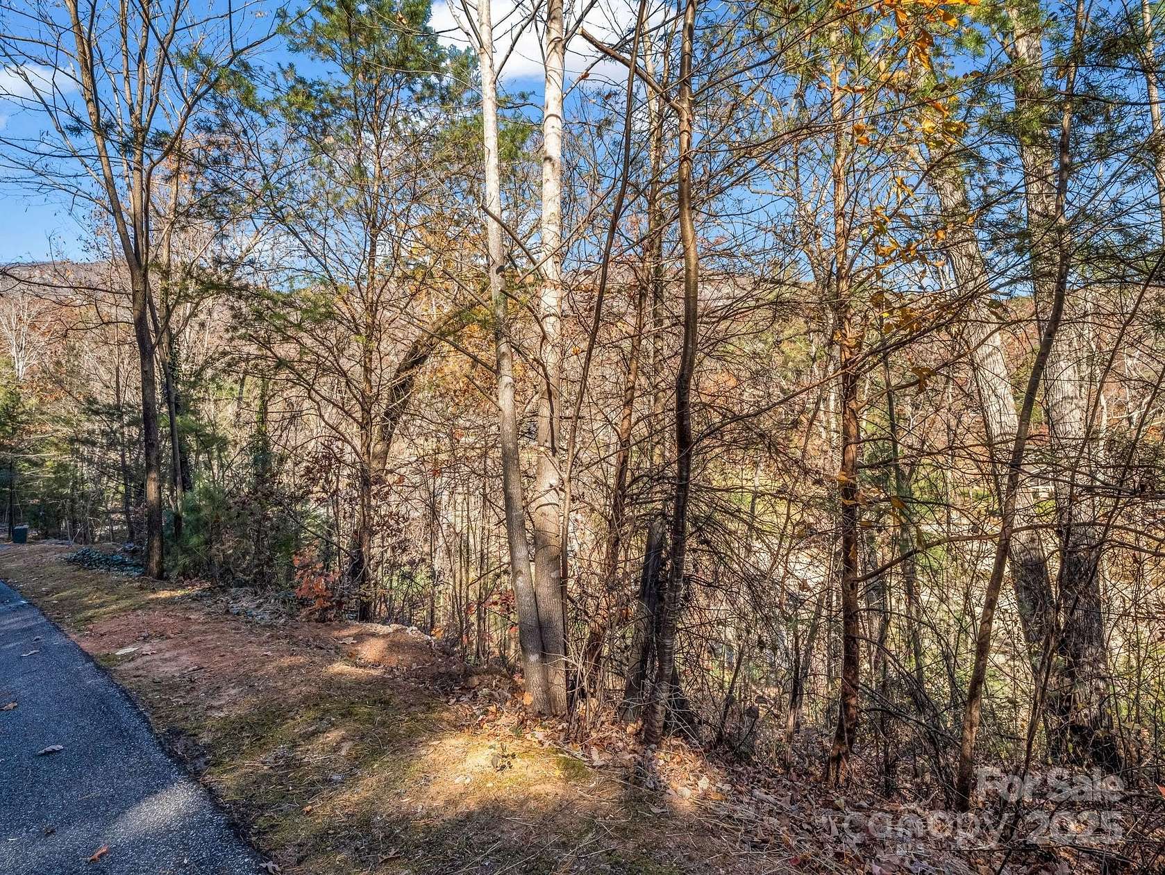 0.6 Acres of Land for Sale in Lake Lure, North Carolina