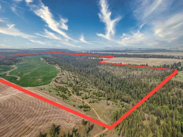 525 Acres of Land for Sale in Davenport, Washington