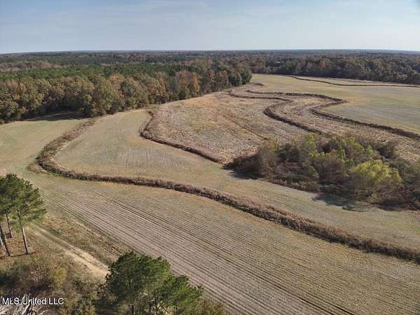 100 Acres of Recreational Land for Sale in Benton, Mississippi