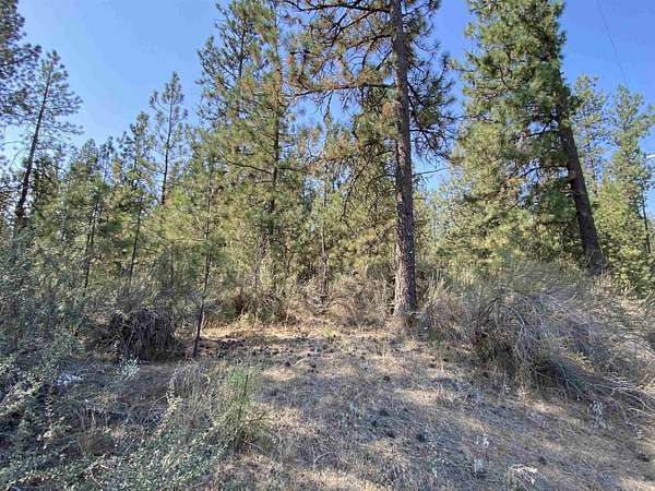 2.3 Acres of Residential Land for Sale in Nine Mile Falls, Washington