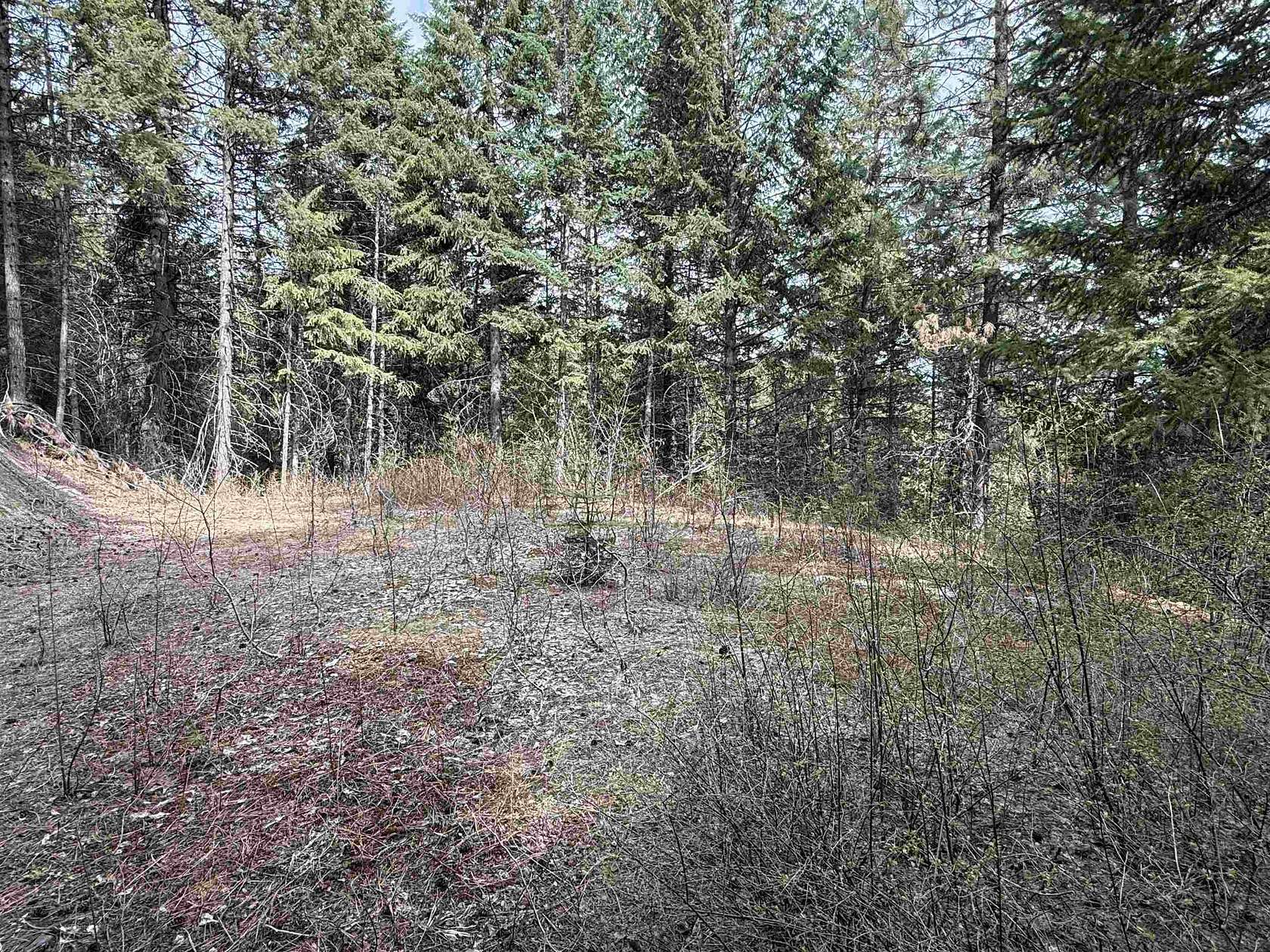 5.47 Acres of Land for Sale in Loon Lake, Washington