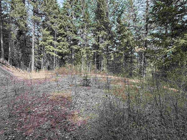 5.47 Acres of Land for Sale in Loon Lake, Washington